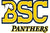 A3 Performance Announces Partnership with Birmingham-Southern College Swimming & Diving