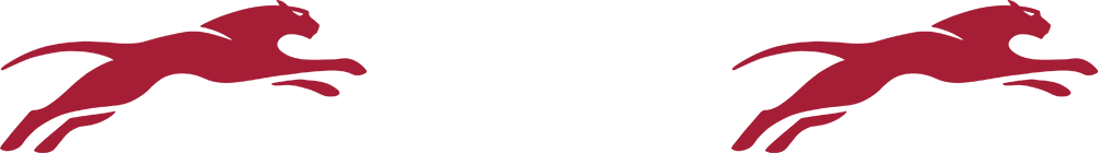 Carondelet High School Swim Team Welcome to your A3 Team Store!