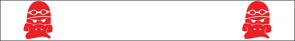 Foglia Aquaducks Swim Team