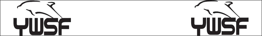 Westside Silver Fins Ymca