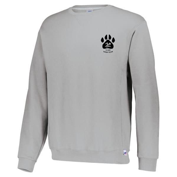 Panthers Team Crewneck Hoodie - Youth S / Gray
